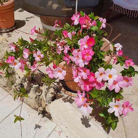 Fenetre Sur Les Alpilles Bed & Breakfast Saint-Martin-de-Crau Bagian luar foto