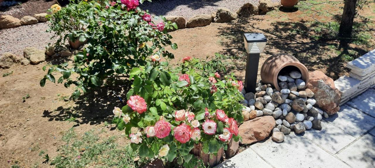 Fenetre Sur Les Alpilles Bed & Breakfast Saint-Martin-de-Crau Bagian luar foto