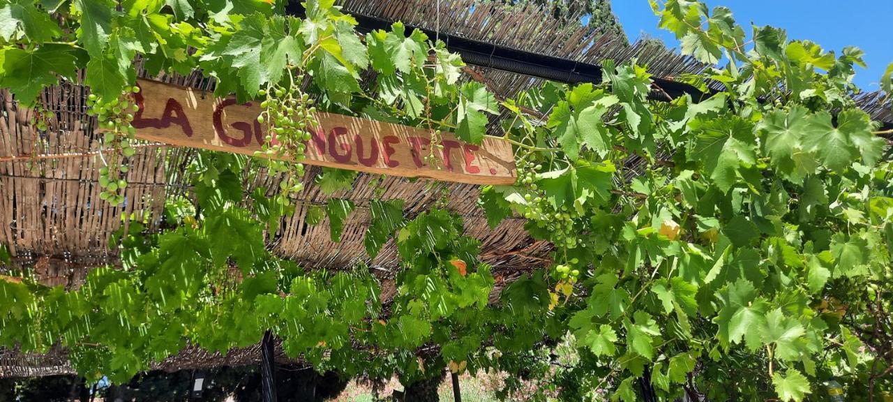 Fenetre Sur Les Alpilles Bed & Breakfast Saint-Martin-de-Crau Bagian luar foto