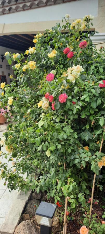 Fenetre Sur Les Alpilles Bed & Breakfast Saint-Martin-de-Crau Bagian luar foto