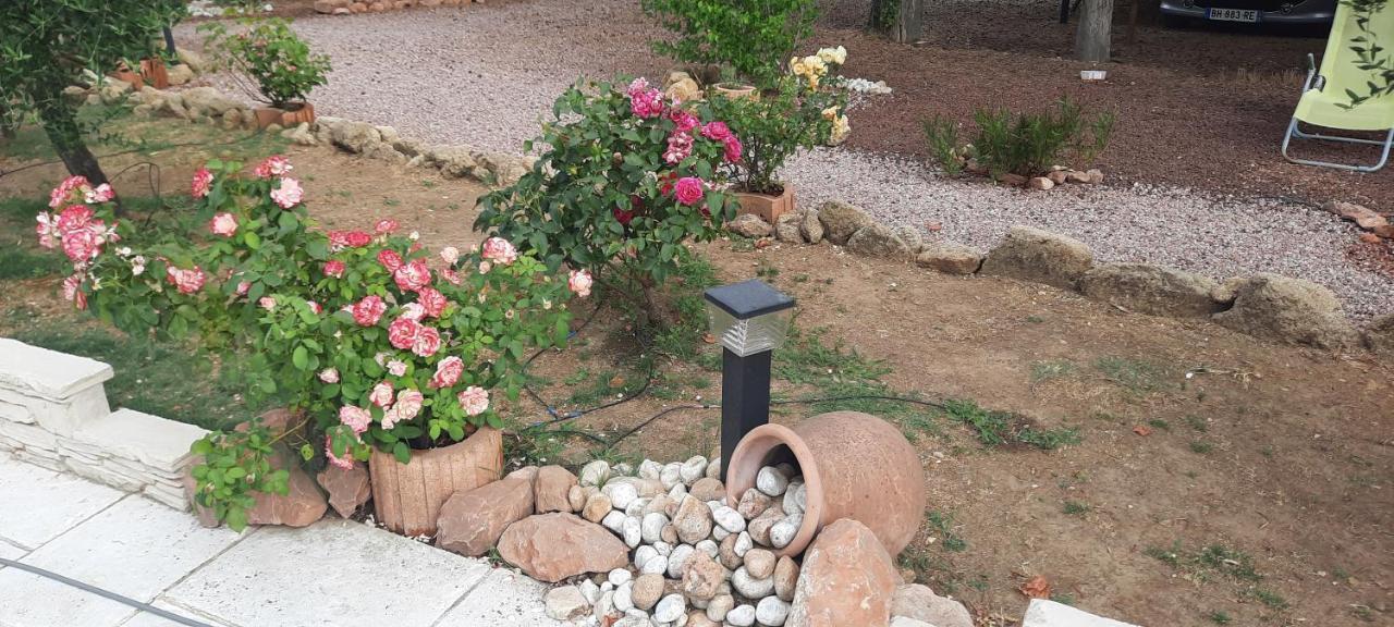 Fenetre Sur Les Alpilles Bed & Breakfast Saint-Martin-de-Crau Bagian luar foto